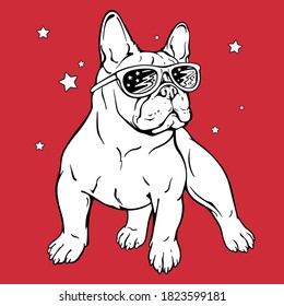 Cartoon french bulldog illustration. Cool dog poster. Stylish image for printing on any surface