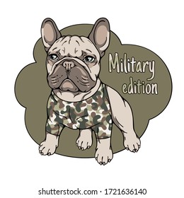 16,691 French bulldog Stock Vectors, Images & Vector Art | Shutterstock