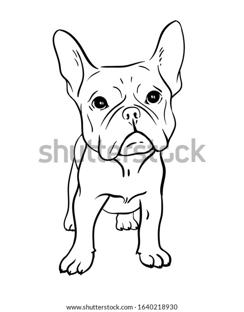 Cartoon French Bulldog On White Background Stock Vector (Royalty Free ...