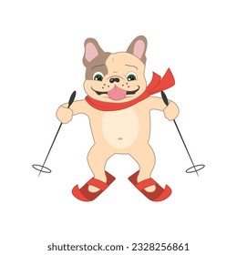 Cartoon french bulldog standing on skis. Isolated color, creative vector illustration, isolated, icon, character, logo.