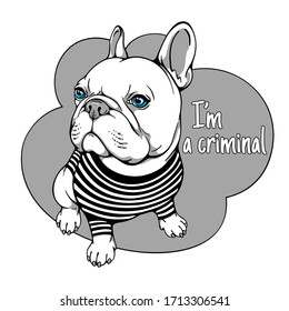 Cartoon french bulldog in a striped T-shirt. Criminal dog. Stylish image for printing on any surface