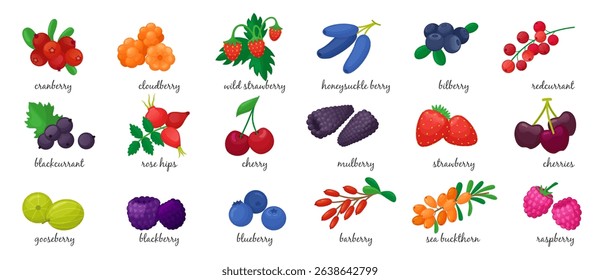 Cartoon fresh berries. Isolated berry, seasonal vitamin food. Blackcurrant cherry raspberry bilberry blueberry gooseberry. Neoteric vector clipart