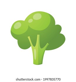 Cartoon fresh green broccoli on white background vector illustration