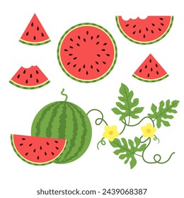 Cartoon fresh and juicy whole watermelons and slices and leaves. Set illustrations isolated on a white background. Flat design vector illustration.