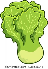 Cartoon Fresh Lettuce. Vector Hand Drawn Illustration Isolated On Transparent Background