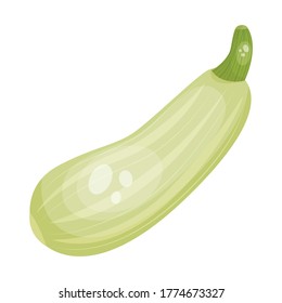 Cartoon fresh organic green squash icon. vector illustration.