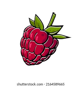 Cartoon fresh raspberry on white background. Great berries illustration for your food design. Vegan, vegetarian, raw food diet.