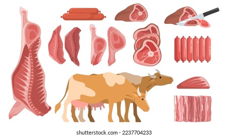 Cartoon frisches rohes Rindfleisch, Vektorset. Verschiedene nicht gekochte Kuhkost für Grillgrafik. ganze und ganze Stücke, Steak und Filet, Rippen und Würstchen einzeln auf weißem Hintergrund