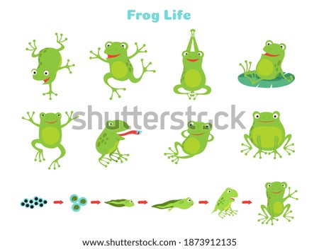 Similar – Foto Bild froschgrün Umwelt Natur