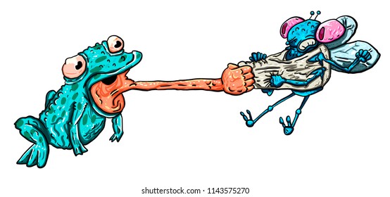 
Cartoon frog and fly fight