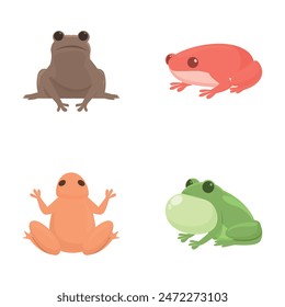 Cartoon frog icons set cartoon vector. Colorful cartoon wild frog. Amphibian reptile