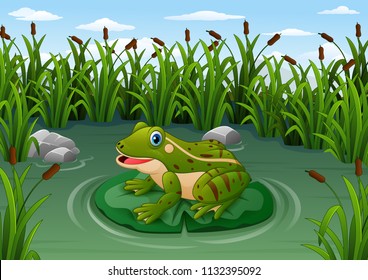 Cartoon frog on a leaf in the pond