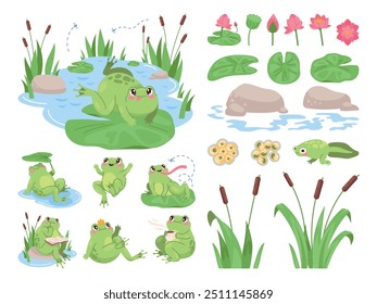 Cartoon frog pond. Green frogs or swamp toads on lily lotus leaves in water, baby tadpole amphibian toad pose jumping catch insect mosquito, comic animal swanky vector illustration original artwork