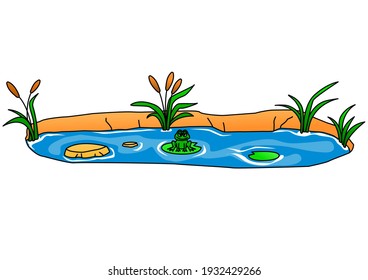 Cartoon Frog Pool Vector. A frog is any member of a diverse and largely carnivorous group of short-bodied, tailless amphibians 