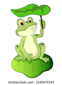 Rana de caricatura sentada en la hoja ,Ilustración vectorial