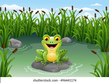 Cartoon frog sitting on the rock at pond