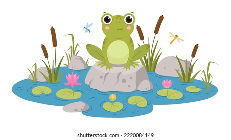 Cartoon frog sitting in pond, cute amphibia. Green toad in natural habitat, froggy water animal in pond with water lilies and reeds flat vector illustrations. Green frog character
