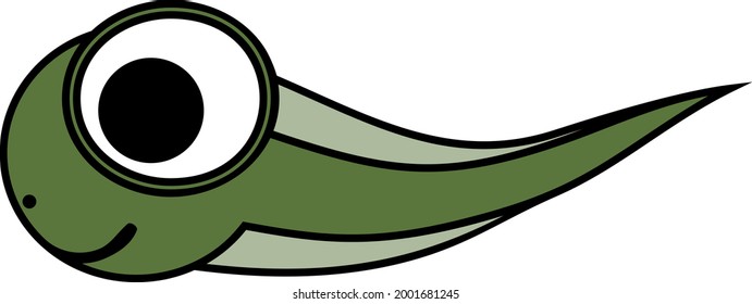 Cartoon Frog Tadpole Isolated On White Background	
