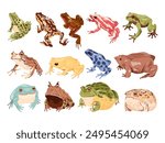 Cartoon frog toads. Exotic frogs and poison toad amphibian animal wildlife, tropical reptiles swamp creature forest pond wild reptiles with big eyes, swanky vector illustration authors graphics