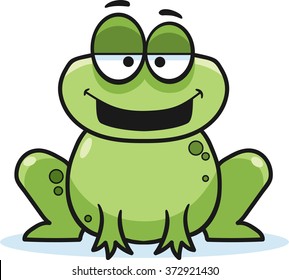 Cartoon frog, vector illustration