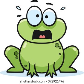 Cartoon frog, vector illustration