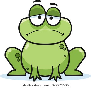 Cartoon frog, vector illustration