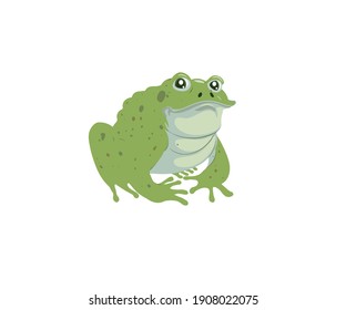 Cartoon frog vector for use. 