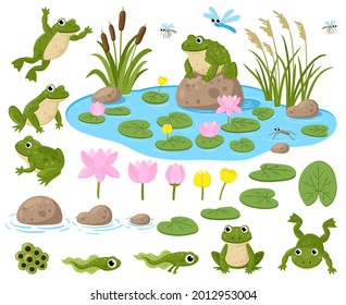 만화 개구리.귀여운 양서류 마스코트, 올챙이, 녹색개구리, 수련, 여름연못, 곤충 벡터그림 세트.개구리 자연 서식지올챙이 귀엽고, 새끼 개구리 그리고 두꺼비