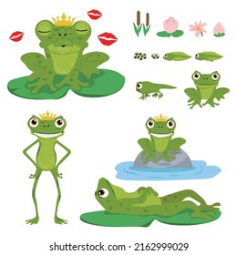 Cartoon frogs. Fluffy green frog, egg pasta, tadpole and frog. Water lily leaf aquatic plants, frogs nature wildlife vector set. Reeds and flowers.