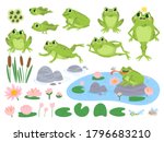 Cartoon frogs. Green cute frog, egg masses, tadpole and froglet. Aquatic plants water lily leaf, toads wild nature life vector set. Reed and flowers. Character on pond catching insect