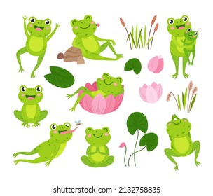 895 Water holding frog Images, Stock Photos & Vectors | Shutterstock