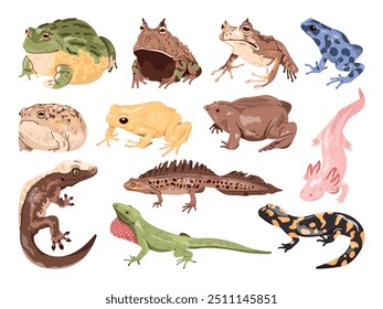 Cartoon Frogs Lizards. Exotischer Frosch und Eidechsenreptil, tropische Amphibien Reptilien Tier Set Kröte Gecko Molch Salamander Regenwald Tierwelt Terrarium, Swanky Vektorgrafik Original Kunstwerk