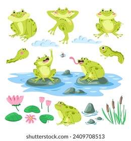 El hábitat natural de las ranas de caricatura. Anfibio cutáneo, renacuajos, sapos sentados sobre piedras y atrapando mosca, nenúfares de agua, conjunto de ilustración de estanques de verano. Leche y flores, vida salvaje. Vector de estilo plano