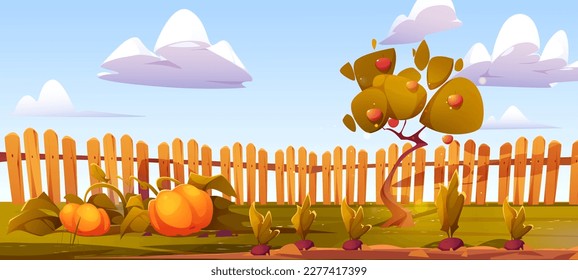 Cartoon fruit and vegetable garden. Vector illustration of apple tree, pumpkin and rootbeet harvest growing on ground in backyard surrounded by wooden fence under blue sky. Farming game background