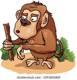 Cartoon Funny Animated Monkey Macaque With The Stick