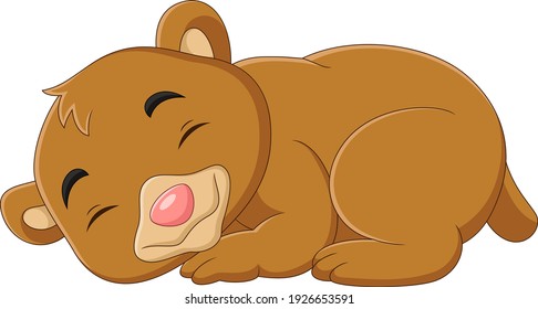 Cartoon funny baby bear sleeping