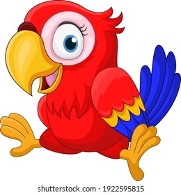 Cartoon funny baby macaw on white background