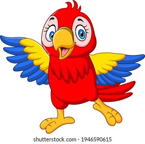 Cartoon funny baby macaw on white background