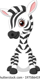 Cartoon funny baby zebra sitting