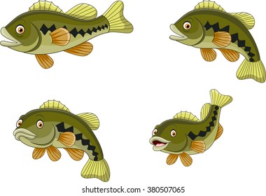 Cartoon Funny Bass Fish Collection