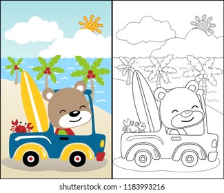 Cartoon of funny bear with little crab on car carrying surfboard in the beach at summer holiday, coloring book or page. Eps 10