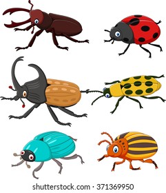 Cartoon Funny Beetle Collection