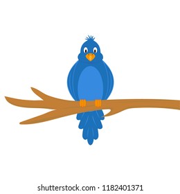 Cartoon funny bird