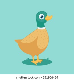 cartoon funny bird,farm.Vector Illustration of Duck.isolated on white background.