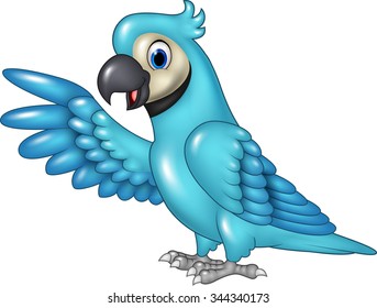 Cartoon funny blue macaw presenting isolated on white background