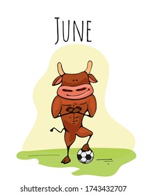 Cartoon funny bull with a soccer ball. Bull cartoon concept of a sporting lifestyle and playing football. Ox symbol of the New year 2021 vector illustration for a postcard or calendar.
