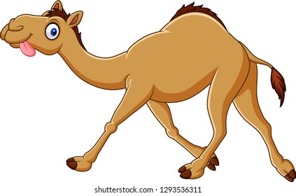 Cartoon funny camel running