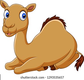 Cartoon Funny Camel Sitting