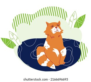 Cartoon funny cat at decorative backdrop, flat vector illustration on isolated white background. Ginger cute kitty, cartoon kitten.