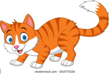 Cartoon funny cat isolated on white background